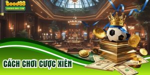 Cách Chơi Cược Xiên