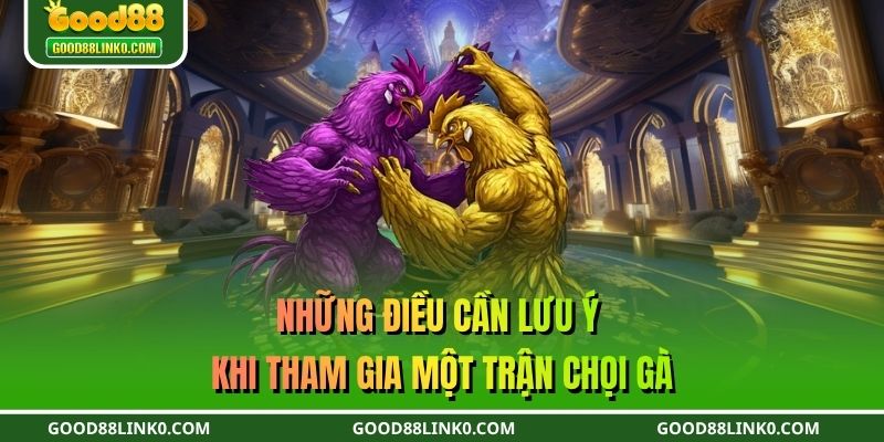 Những điều cần lưu ý khi tham gia một trận chọi gà