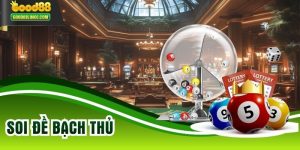 Soi Đề Bạch Thủ