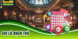 Soi Lô Bạch Thủ